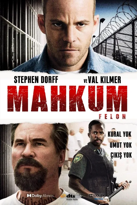Felon Altyazılı izle Türkçe  (2008)