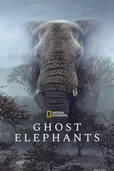 Ghost Elephants